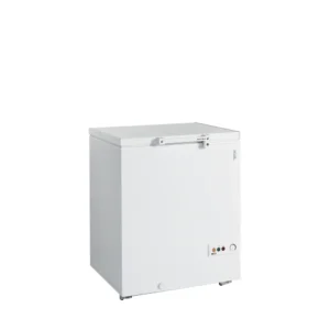 Arkkupakastin Tefcold FR205-SL