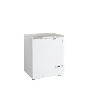 Arkkupakastin Tefcold FR205S-SL
