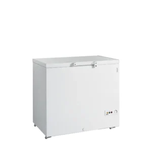 Arkkupakastin Tefcold FR305-SL