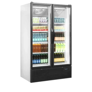 Jääkaappi lasiovella Tefcold FS1202H