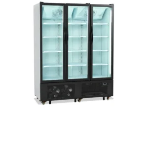 Jääkaappi lasiovella Tefcold FS1600H