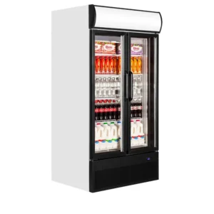 Jääkaappi lasiovella Tefcold FSC1000H