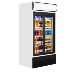 Jääkappi lasiovella Tefcold FSC1000S