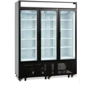 Jääkaappi lasiovella Tefcold FSC1600H