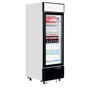 Jääkaappi lasiovella Tefcold LGC2500