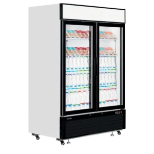 Jääkaappoi lasiovella Tefcold LGC5000