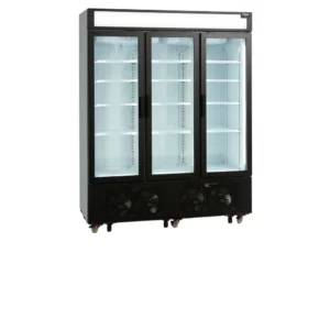Pakastekaappi lasiovella Tefcold UFSC1600GCP